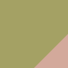 Kiwi Green