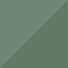 Eucalyptus