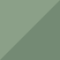 Eucalyptus