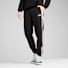 Puma Black
