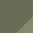 Deep Lichen Green