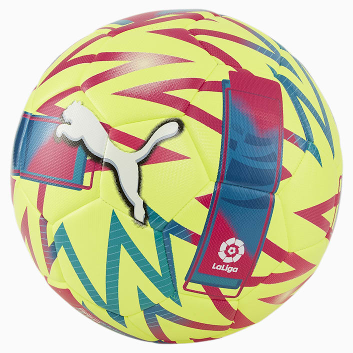 Pelota puma hot sale evospeed