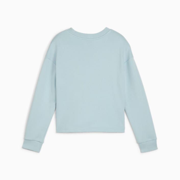 PUMA POWER Youth Sweatshirt Clothing PUMA