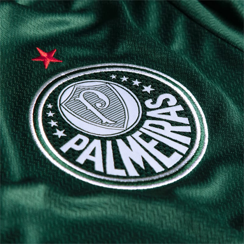 Palmeiras Home Replica Men's Soccer Jersey, Evergreen