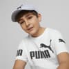 Изображение Puma Детская кепка ESS Cap Jr #3: Platinum Gray