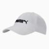 Зображення Puma Кепка Essentials No. 2 Logo Cap #1: Puma White