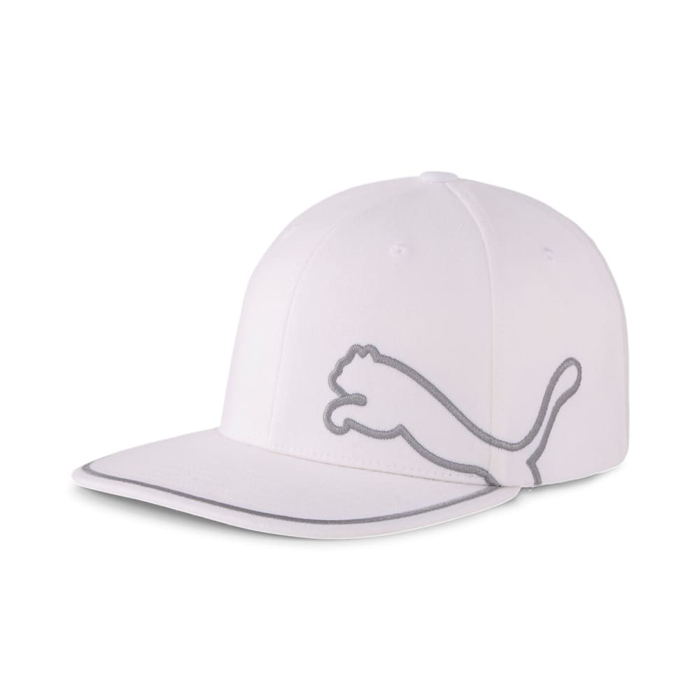 snapback puma