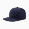 Image Puma Lifestyle Colorblock Cap #1