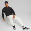 Görüntü Puma CLASSIC Çift Katlı Fitilli Bere #2