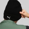 Изображение Puma Шапка Mercedes-AMG Petronas Motorsport F1 Beanie #4: Puma Black