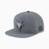 Image Puma Hometown Heroes Flat Brim Cap #1
