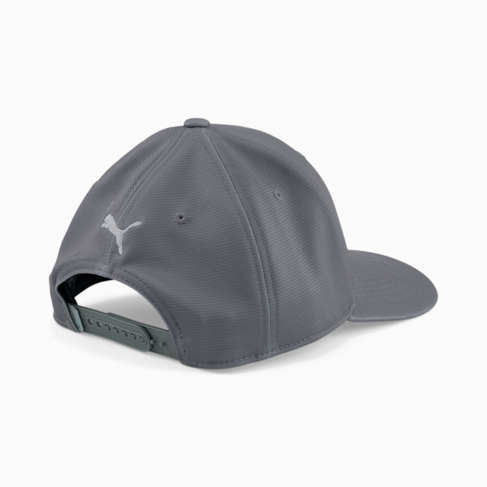 Grey 2025 puma cap