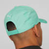 Image Puma Mercedes-AMG Petronas Motorsport Cap #2