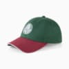 Image PUMA Boné Palmeiras ftblArchive #1
