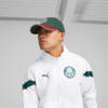 Image PUMA Boné Palmeiras ftblArchive #3