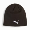 Görüntü Puma AC MILAN Taraftar Bere #4