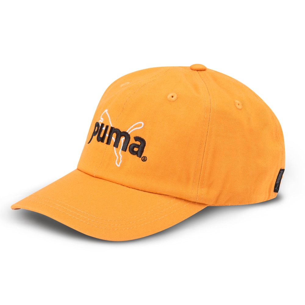 Imagen PUMA Gorro PUMA TEAM DAD #1