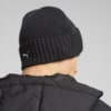 Image Puma Mercedes-AMG PETRONAS Beanie #3