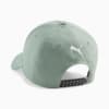 Image Puma Mercedes-AMG PETRONAS Cap #4