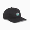 Image PUMA Boné Aba Curva Skate Relaxed #0