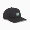 Image Puma Skate Relaxed Low Curve Cap #1
