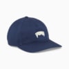 Image PUMA Boné Aba Curva Skate Relaxed #1