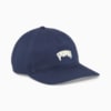 Image Puma Skate Relaxed Low Curve Cap #1