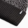 Изображение Puma Шапка-бини ESS Pom Beanie #3: Puma Black