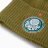 Image PUMA Gorro SE Palmeiras #3