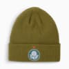Image PUMA Gorro SE Palmeiras #1