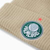 Image PUMA Gorro SE Palmeiras #3