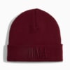 Изображение Puma Шапка Classic Graphic Mid Crown Beanie #1: Ruby Shimmer