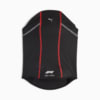 Зображення Puma Балаклава F1® Racing Balaclava #4: Puma Black