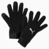 Изображение Puma Футбольные перчатки LIGA 21 Winter Football Gloves #1: Puma Black
