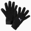 Зображення Puma Футбольні рукавички LIGA 21 Winter Football Gloves #1: Puma Black
