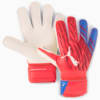 Изображение Puma Вратарские перчатки ULTRA Protect 2 Regular Cut Goalkeeper Gloves #1
