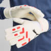 Image Puma FUTURE Match NC Goalkeeper gloves #2