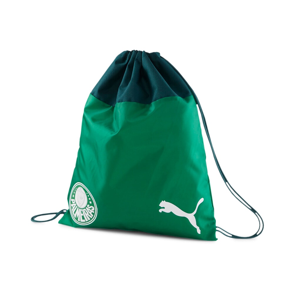 mochila do palmeiras puma