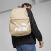 Зображення Puma Рюкзак PUMA Phase Backpack #2: Prairie Tan
