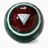 Image PUMA Mini Bola Palmeiras ftblArchive #2