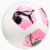 Image PUMA Bola de Futebol PUMA Big Cat #1