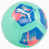 Image PUMA Bola de Futebol PUMA Big Cat #1