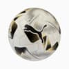 Imagen PUMA Pelota PUMA Cumbre CONMEBOL Libertadores (FIFA Pro) #1