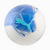 Imagen PUMA Pelota de fútbol PUMA Big Cat #1