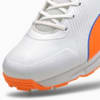 Image Puma PUMA Spike 19.1 Men's Cricket Shoes #7