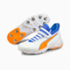 Image Puma PUMA 19.1 Bowling Men's Cricket Shoes #2