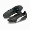 Изображение Puma Бутсы KING Platinum 21 FG/AG Men's Football Boots #2: Puma Black-Puma White