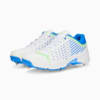 Image Puma Spike 22.1 Men's Cricket Shoes #2