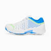 Image Puma Spike 22.1 Men's Cricket Shoes #1
