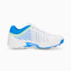 Image Puma Spike 22.1 Men's Cricket Shoes #5